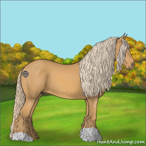Horse Color:Palomino 