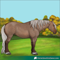 Horse Color:Silver Brown Dun 
