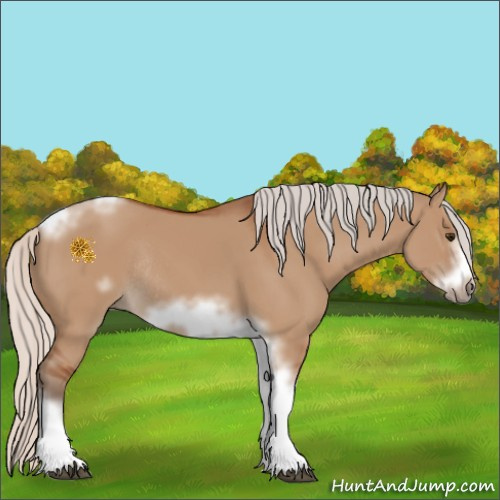 Horse Color:Silver Bay Dun Sabino Tobiano Frame Rabicano 