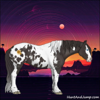 Horse Color:Smoky Black Splash Tobiano Near Leopard 