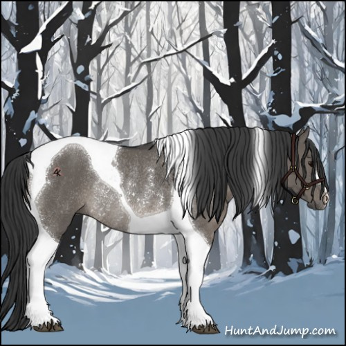 Horse Color:Grullo Tobiano Rabicano