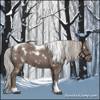 Horse Color:White Spotted Silver Grullo Tobiano