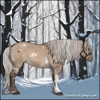 Horse Color:White Spotted Silver Brown Dun Tobiano 