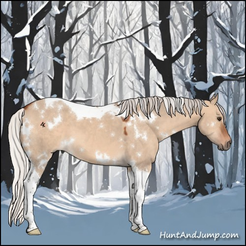 Horse Color:White Spotted Silver Brown Dun Tobiano 