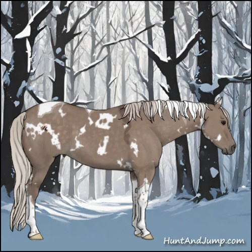 Horse Color:White Spotted Silver Grullo Tobiano 