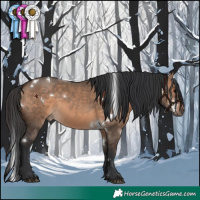 Horse Color:White Spotted Brown Dun 