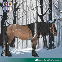 Horse Color:White Spotted Brown Dun 