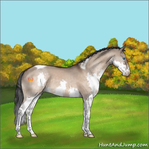Horse Color:Brown Dun Splash Tobiano Rabicano 