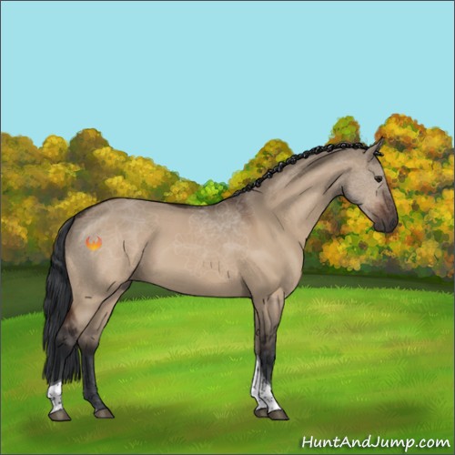 Horse Color:Brown Dun Tobiano Rabicano 