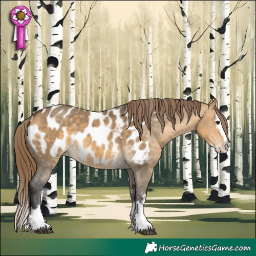 Horse Color:Buckskin Dun Sabino Splash Appaloosa 