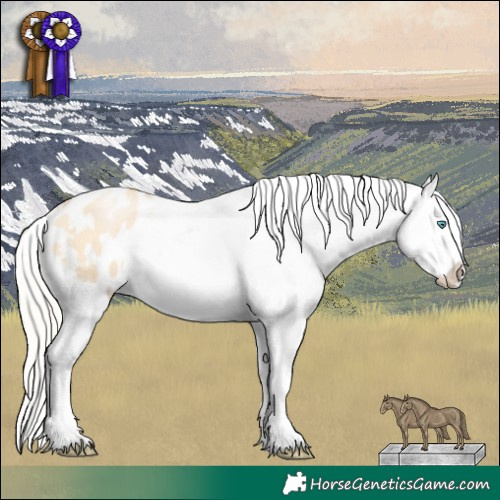 Horse Color:White Spotted Silver Buckskin Pearl Dun Sabino Appaloosa 