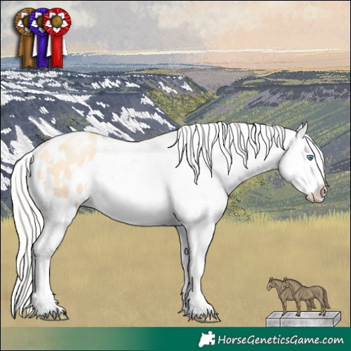 Horse Color:White Spotted Silver Buckskin Pearl Dun Sabino Blanket 