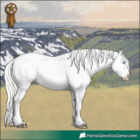 Horse Color:White Spotted Silver Buckskin Pearl Dun Sabino Appaloosa 