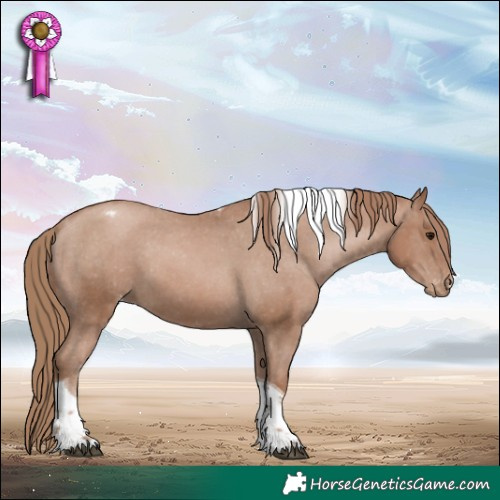 Horse Color:Black Pearl Tobiano Appaloosa 