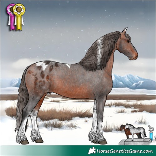 Horse Color:White Spotted Bay Tobiano Appaloosa Rabicano 