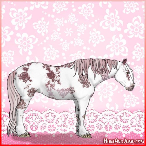 Horse Color:Chocolate Palomino Sabino 