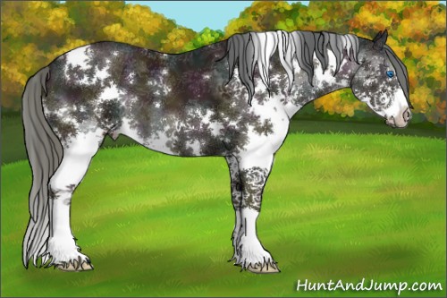 Horse Color:White Spotted Midnight Black Ice Pearl Splash 