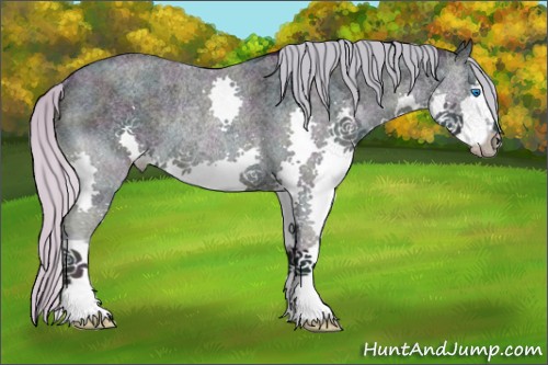 Horse Color:Midnight Silver Grullo Ice Roan Splash Rabicano 