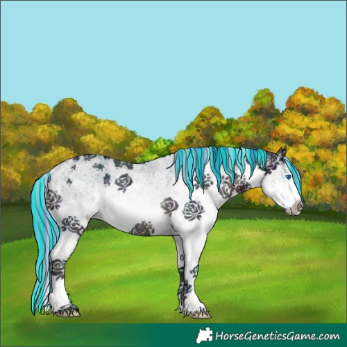 Horse Color:Painted Watercolor White Spotted Midnight Brown Ice Splash Rabicano 