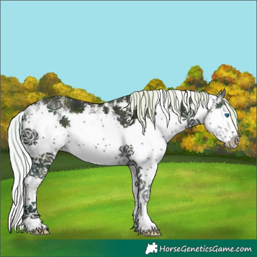 Horse Color:Watercolor White Spotted Midnight Silver Perlino Ice Splash Rabicano 
