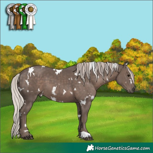 Horse Color:White Spotted Silver Black 