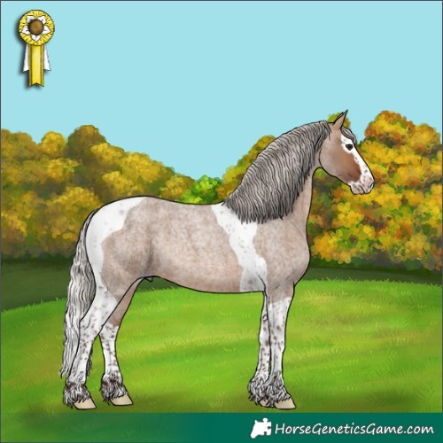 Horse Color:Silver Brown Roan Dun Splash Tobiano 