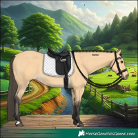 Horse Color:Buckskin 