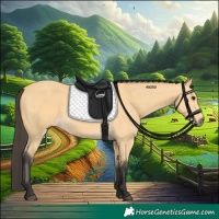 Horse Color:Buckskin 