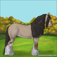 Horse Color:Liver Red Dun Tobiano Rabicano