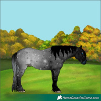 Horse Color:ERROR: UNKNOWN ANOMALY