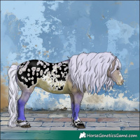 Horse Color:Watercolor Silver Bay Appaloosa Rabicano 