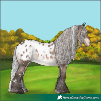 Horse Color:White Spotted Silver Brown Dun Mushroom Appaloosa