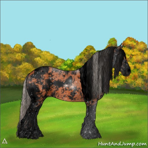 Horse Color:Void Silver Bay Sabino 