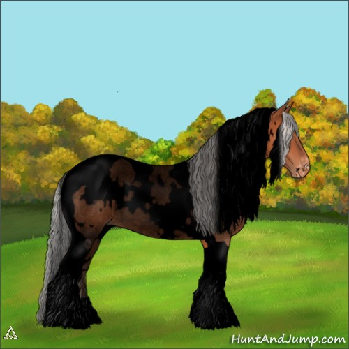 Horse Color:Void White Spotted Silver Brown Tobiano Appaloosa