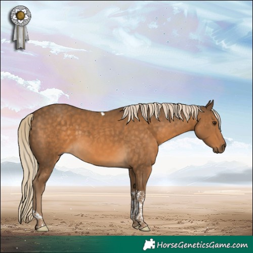 Horse Color:Chocolate Palomino Tobiano 