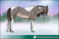 Horse Color:Liver Red Roan Splash Tobiano 
