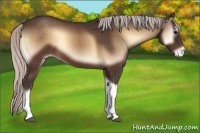 Horse Color:Silver Brown Onyx Tobiano Varnish 