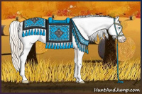 Horse Color:Perlino Sabino Appaloosa