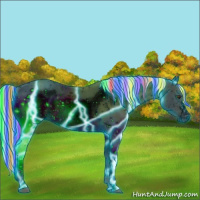 Horse Color:Painted Thunderstruck Liver Red Dun Mushroom Sabino Rabicano 