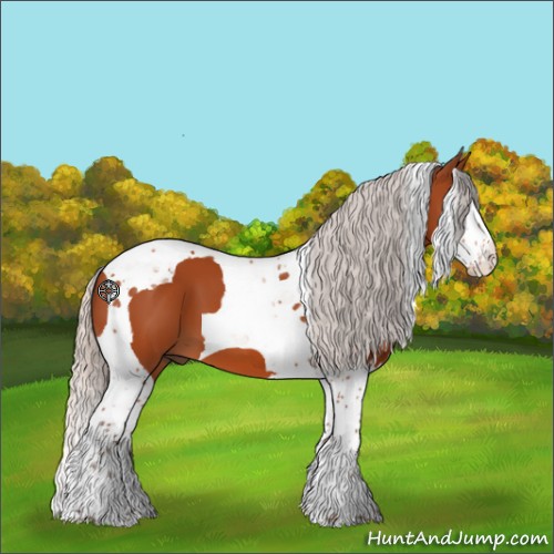 Horse Color:Silver Bay Splash Tobiano 