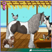 Horse Color:Silver Black Splash Tobiano 