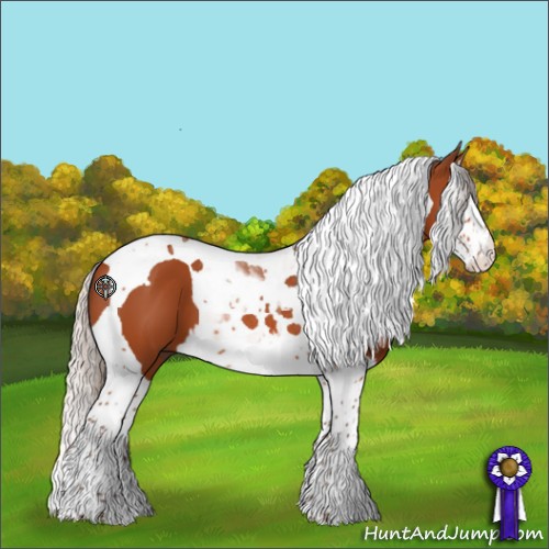 Horse Color:Silver Bay Splash Tobiano