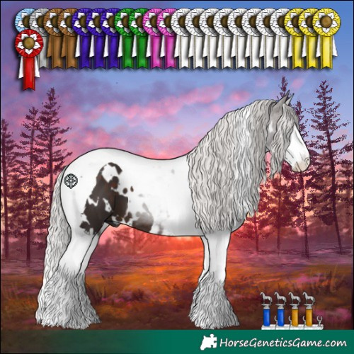 Horse Color:White Spotted Silver Brown Splash Tobiano 