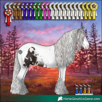 Horse Color:White Spotted Silver Brown Splash Tobiano