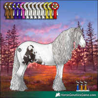 Horse Color:White Spotted Silver Brown Splash Tobiano 