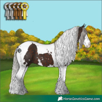 Horse Color:White Spotted Silver Brown Splash Tobiano 