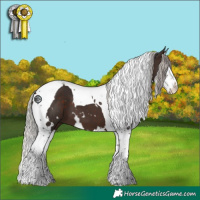 Horse Color:White Spotted Silver Brown Splash Tobiano 