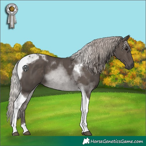 Horse Color:Silver Black Tobiano 