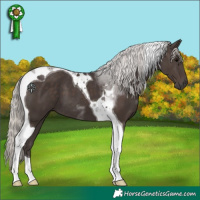 Horse Color:Silver Black Tobiano 