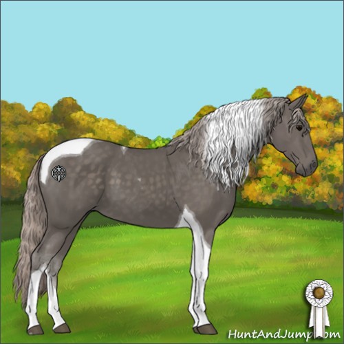 Horse Color:Silver Black Tobiano